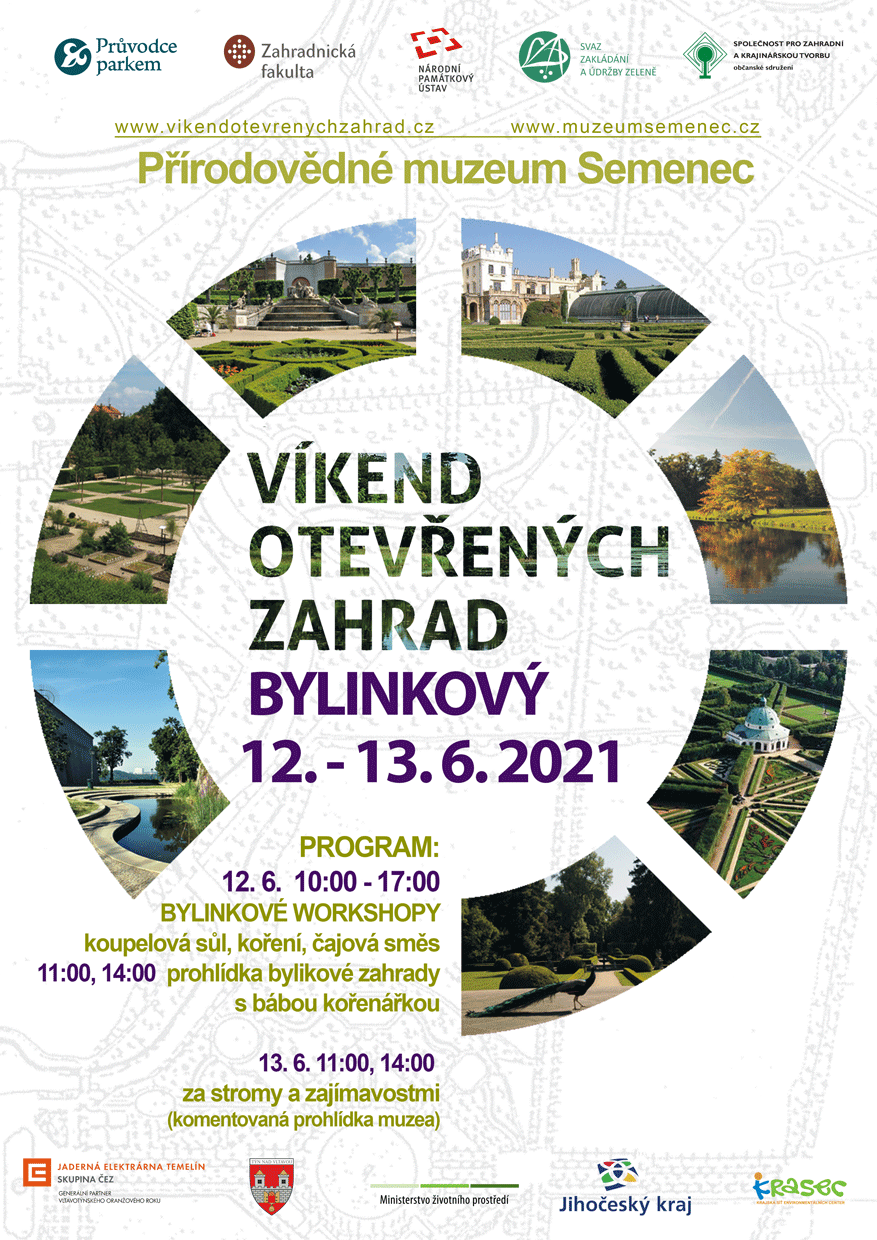 def-2020-plakat-editovatelna-sablona-Semenec.gif