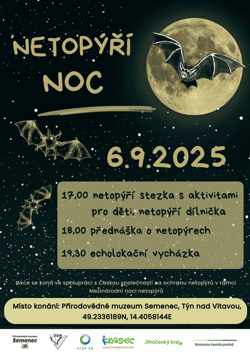 netopyri-noc-semenec-krasec.jpg